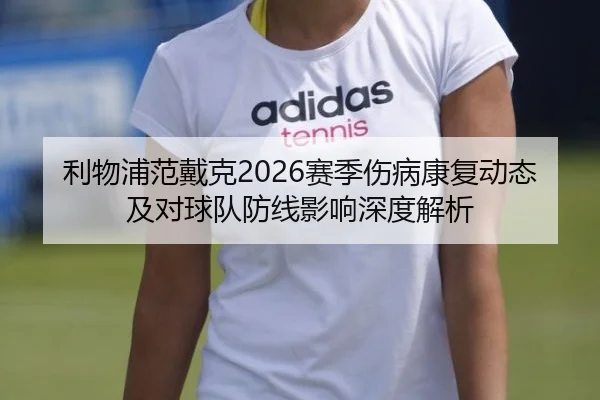 利物浦范戴克2026赛季伤病康复动态及对球队防线影响深度解析