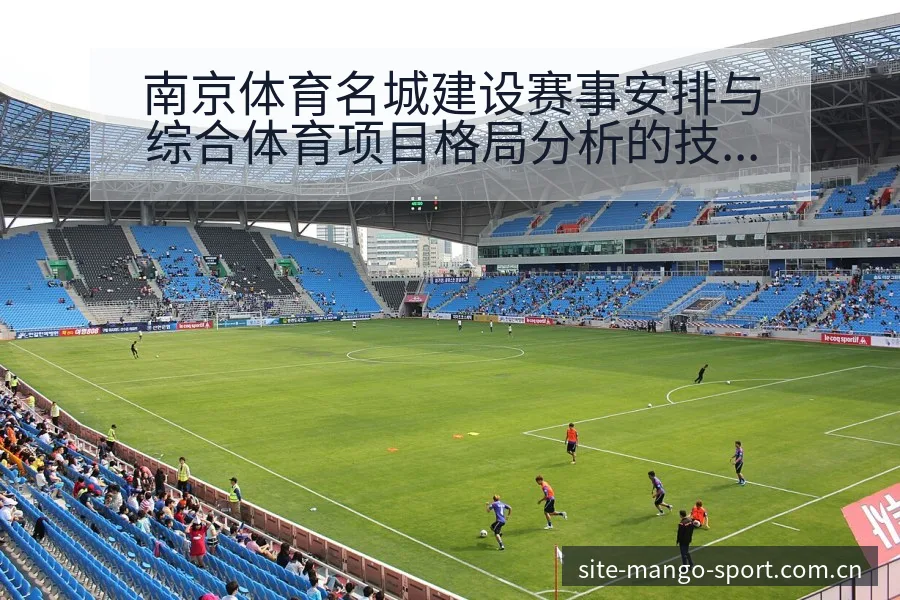 南京体育名城建设赛事安排与综合体育项目格局分析的技术特征 - 芒果体育